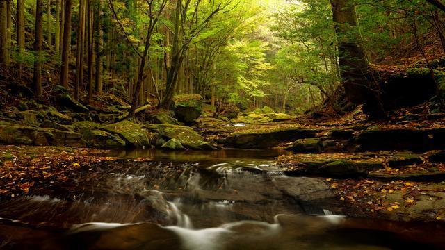 机智问答网页-解答问题神器湖北一建考后审核短信通知